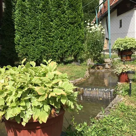 Domacinstvo Ubovic Sipovo