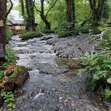 Domacinstvo Ubovic * Sipovo