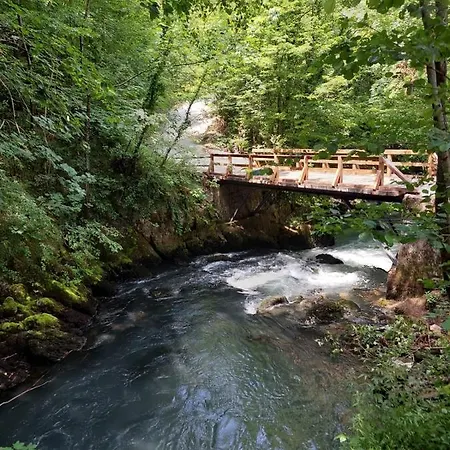 Domacinstvo Ubovic
