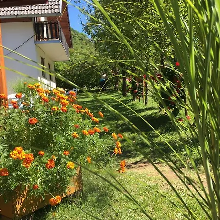 Domacinstvo Ubovic *